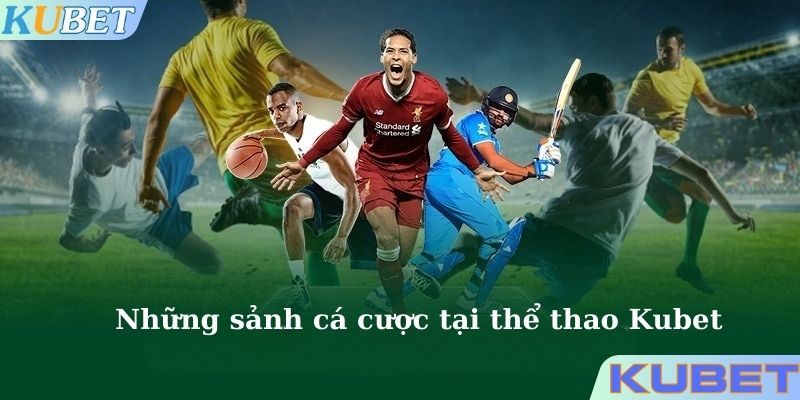 Khám phá chi tiết những sảnh thể thao tại Kubet